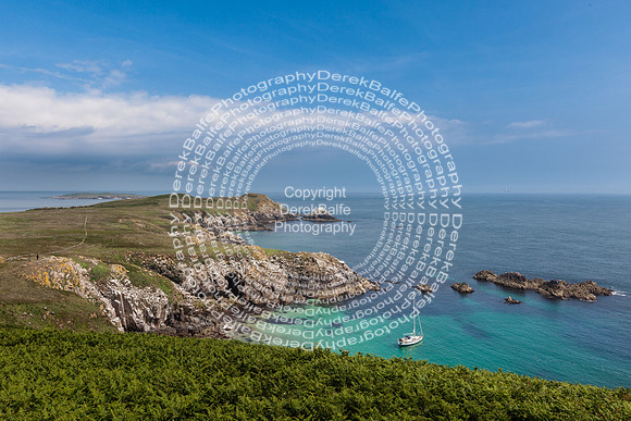 Saltee Island Trip