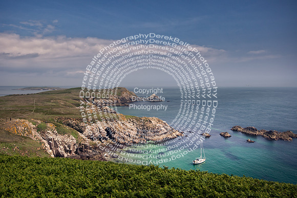 Saltee Island Trip