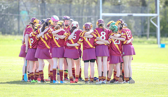 2018 U14 Camogie Feile-8