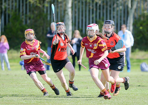 2018 U14 Camogie Feile-9