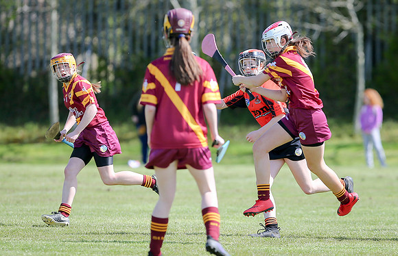 2018 U14 Camogie Feile-10