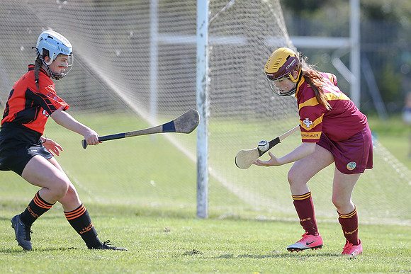 2018 U14 Camogie Feile-14