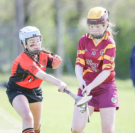 2018 U14 Camogie Feile-19