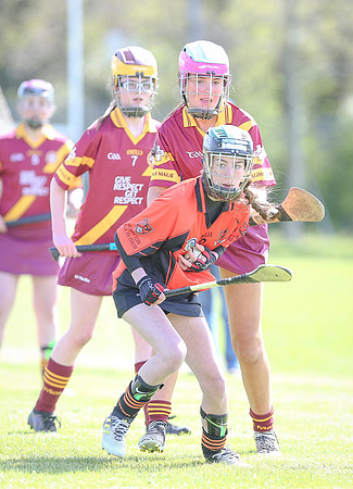 2018 U14 Camogie Feile-20